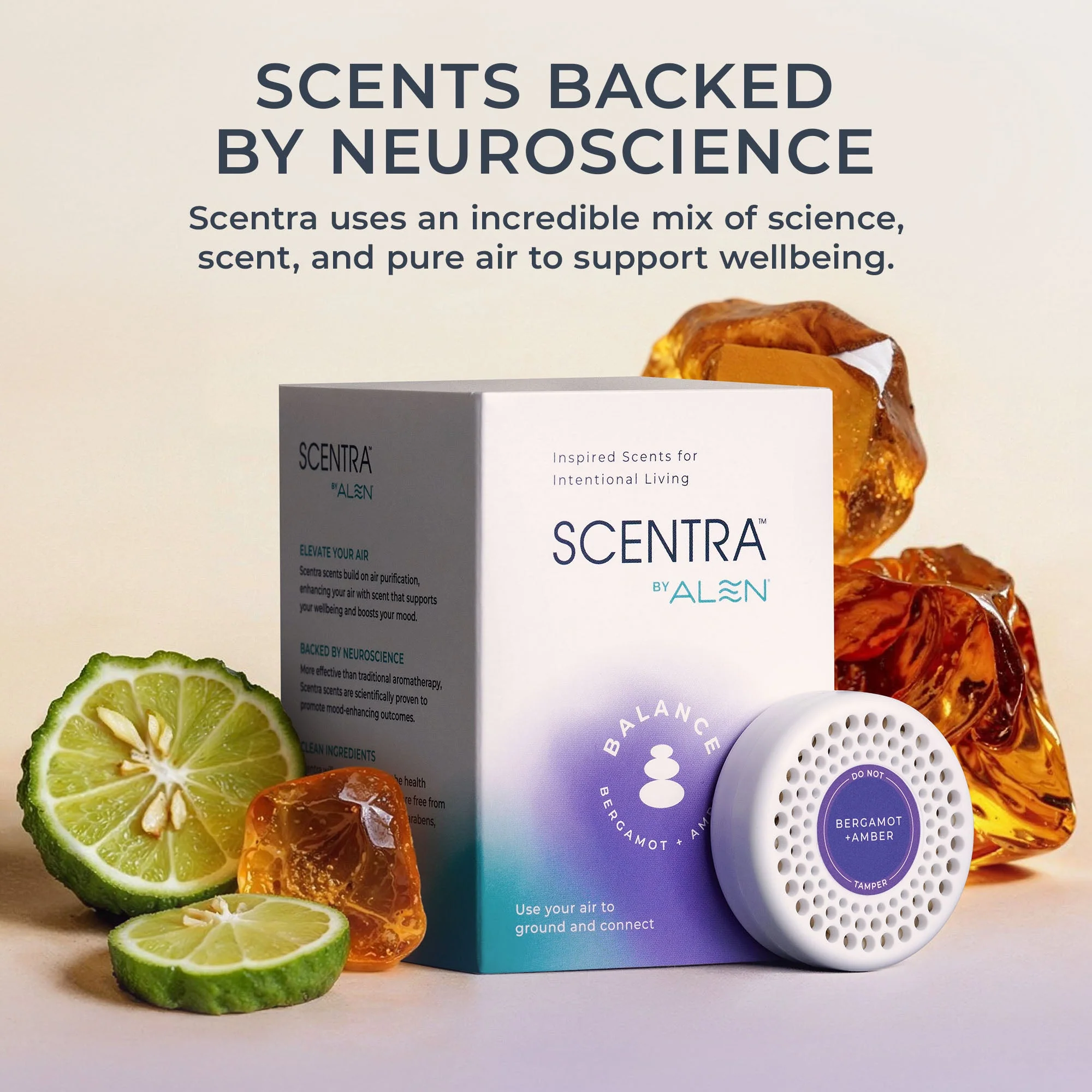 Bergamot + Amber Refill (3-pack) - Image 6